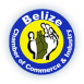 Belize Chamber of Commerce & Industry logo